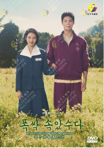 Korean drama dvd when life - dvd,