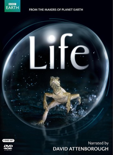 Life