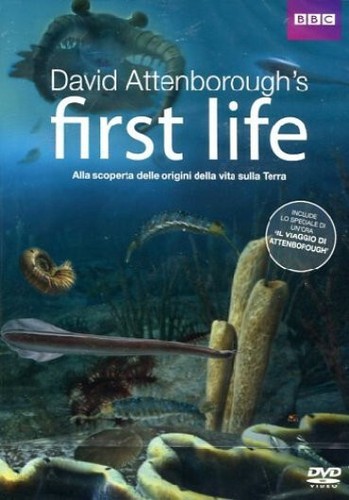 First life origine della - life, l'origine