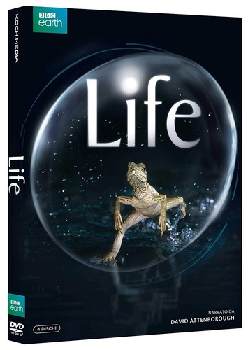 Life - (4, dvd)